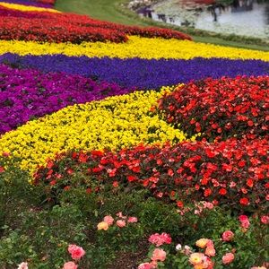 Meet your Posher, Shauntel